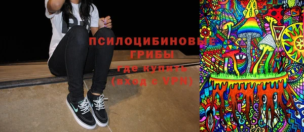 шишки Балахна