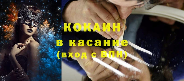 шишки Балахна