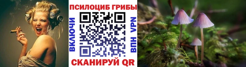 блэк спрут зеркало shop телеграм Шилка Псилоцибиновые грибы прущие грибы сколько стоит