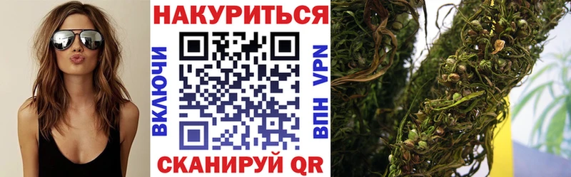 Шишки марихуана ГИДРОПОН Шилка
